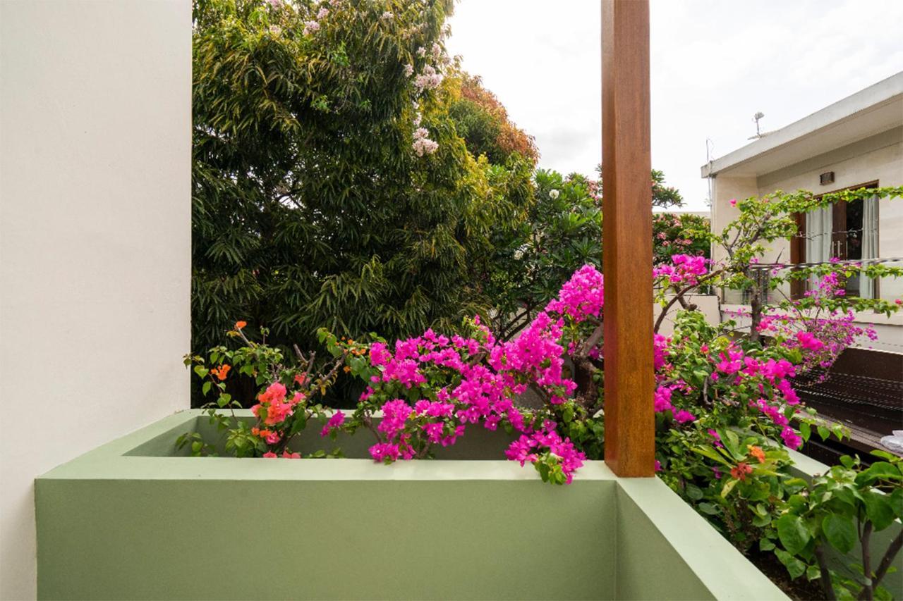 Villa Athena Σεμινιάκ Εξωτερικό φωτογραφία